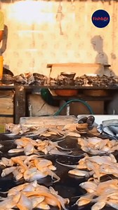 🐟 Fresh Fish, Big Opportunities! 🌊 At Fishbot, we don’t just deliver premium-quality fresh fish to your doorstep — we help you grow your seafood business! 📈 💡 Quality. Logistics. Business Support. We’re your trusted partner in making seafood success a reality. 📞 Connect with us now to start your journey! 🎣 Your success begins with Fishbot. #FreshFish #SeafoodBusiness #FishSupplyChain #SeafoodLovers #GrowWithFishbot #QualitySeafood #FishBusinessSupport #SeafoodMarket #SeafoodSuppliers #Busi