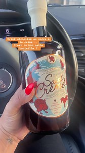 Avez vous déjà goûté 🤤? #drinks #saintcreme #liquors #sucrerie #alcool #digestif | Kassandra langlois Maquilleuse