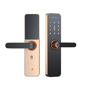 [Hot Item] Good Quality Low Price Home Electronic Electric Tuya APP WiFi Smart Lock, Digital Biometric Fingerprint Door Lock