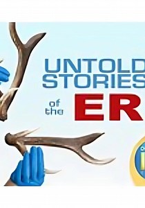 Untold Stories of the ER Season 11 - episodes streaming online