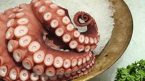 Tentacules géants de calmar, Pieuvre entière : vidéo de stock (100 % libre de droit) 3908592975 | Shutterstock