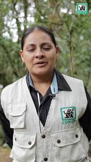 El CONAP da la bienvenida a los compañeros guardarrecursos de nuevo ingreso que vienen a fortalecer junto al personal antiguo a la institución. En la Dirección Regional Metropolitana se destaca que es la primera vez que se cuenta con el ingreso de 18 nuevos Guardarrecursos, entre ellos cuatro mujeres. | Conap Consejo Nacional de Áreas Protegidas