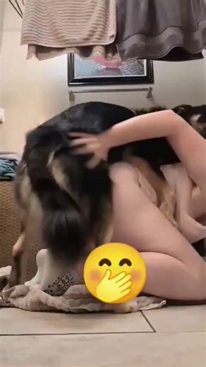 Hotastuck fomy dog goes deeper inside#zoophillia #zoosarevalid #beastiality#dogknot #zooprideisvalid #zoophile#hypnotistzoophilesarevalid #zoophiletwt#zootwt #zoopositivity#grope #Pardi #jjk242spoilers #bestialities #k9girl👇👇👇https://t.co/Qx5vHOGPkx