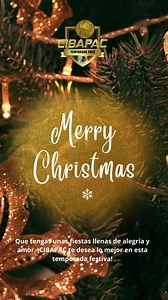 ¡Felices fiestas! Que el espíritu navideño llene tu corazón de...