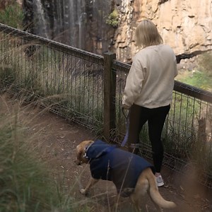 1K views | Just putting it out there, but winter is nearly here...  #PetstockNewZealand #TheStoreWithMore | Petstock | Facebook