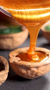 Walnut Lamp! | Hungry Panda