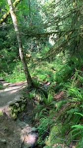 4.8K views · 37 reactions | Leave your worries behind. The Bellevue area is home to an abundance of lush wilderness and beautiful hiking trails, putting the majesty of the Pacific Northwest directly in your field of view. | Hyatt Regency Bellevue | Facebook