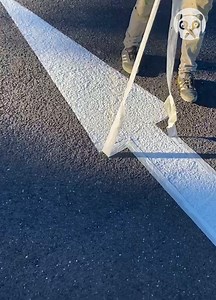 257K views · 238 reactions | Peeling tape off fresh road signs | Crafty Panda | Facebook