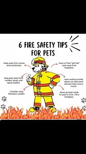 15K views · 89 reactions | *6 Fire Safety Tips for Pets* 1. *Create...