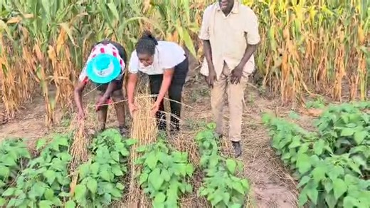 2.2K views · 103 reactions | Ku Chiweshe kwa Baba na amai Muchekedzi...