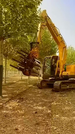 #treespade #treeworks #landscape #treeplanting | Doris Willson