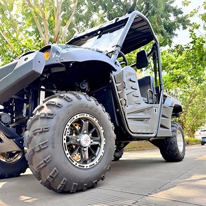 [Hot Item] Hot Sale Electric UTV 4X4 with Automatic Transmission 2 Seats Directly From China