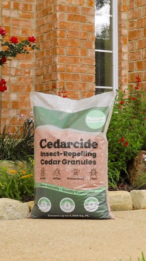 13 reactions · 5 comments | Check out our cedar granules!  A natural insect repellent for your lawn.  The family & pet-safe solution to keeping pesky bugs out of your lawn.  Combine with Cedarcide Outdoor Bug Control for best results. #cedar #essentialoils #nontoxic #lawncare #petcare | Cedarcide | Facebook