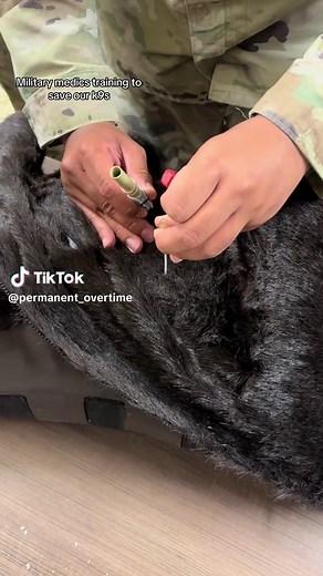 Essential Training for K9 Rescue and Emergency Response