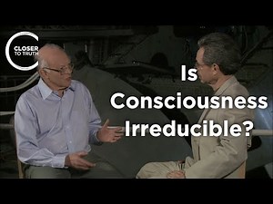 John Leslie - Is Consciousness Irreducible?
