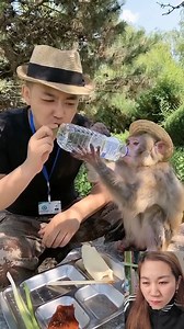 144K views · 2.5K reactions | Amazing monkey | Pro Heng | Facebook