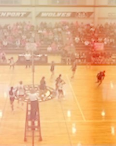 Alabama Volleyball on Reels