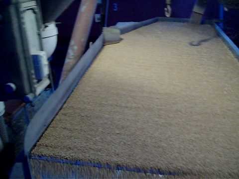 Oliver 160 gravity table gravity separator wheat grading.MOV