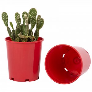 [Hot Item] Garden Ornamental Different Size 1 to 5 Gallon Nursery Pots for Outdoor Flower Pots for Succulents (HG-2926-1)