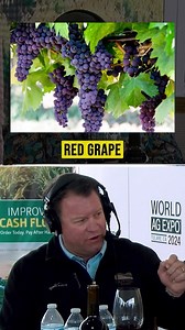 What gives wine 🍷 its color??? Hint: its not the juice!! #wine #winelover #farm4profit #farm4fun #sonomacountywinegrowers @WorldAgExpo #johndeere | Farm4Profit