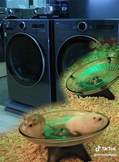 Our washer and dryers spin like no other. See the latest models from LG, Whirlpool, Samsung, and more at Electronic Express. | Electronic Express