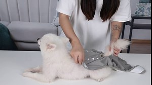 Amazon.com : Pack of 3 Reusable Dog Diapers Female Washable Durable Doggie Diapers Wrap Middle (Female, M) : Pet Supplies