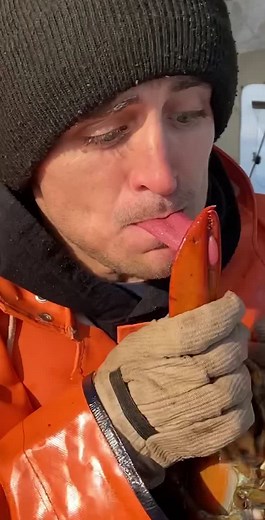 Hilarious Lobster Fishing Mishap Compilation