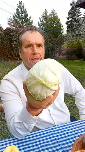 20K views · 270 reactions | Kupus (Brassica oleracea var. capitata) | Za svaku bolest trava raste Mrphsci Sejfudin Tokić | Facebook