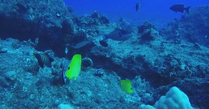 Video by JUN HO LEE on Pexels