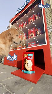 60gms of instant gratification! ♥️ Drools Wet Gravy is now available in 60gms! Grab them for your furry friend now 🐶 #drools #cgi #feedrealfeedclean #nobyproducts #realchicken #pet #petfood #petparents | Drools