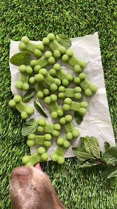 Stinky dog? Here’s how to make homemade dog breath mints! 🌿 | Live Eat Learn