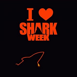 11K views · 1.1K reactions | Get your heart pumping with new #SharkWeek GIFs and Stickers ❤️ Search "Shark Week" under GIFs on Twitter, IG Stories, TikTok and more! giphy.com/sharkweek | Shark Week | Facebook