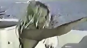 Tommy Lee and wife Pamela Andersen Sex Tape