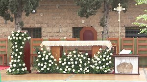 LIVE from Rome - Rosary & Holy Mass for the 78th Anniversary of the Virgin of the Revelation - 2025