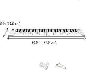Carry-on Folding Piano - Portable Digital 49 Key Piano Keyboard with Rechargeable Battery and MIDI over USB