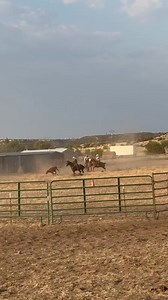 TM Bits and Spurs crew had some fun at the pasture roping this past weekend! #teamroping #shank #bits #ropingbit #tmbitsandspurs #customs #cowboystuff #pastureroping | TM Bits and Spurs