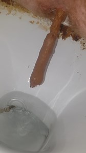 Soft poop from a ginger