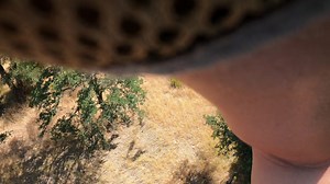 Hollie Lynn Williams on Reels