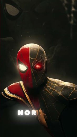 مرد عنکبوتی/SPIDER MAN 🕷️