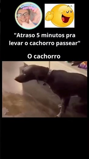 MEMES WITH EVERYTHING - | PT.106 |