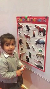 Step by Step Nursery & Kindergarten on Reels
