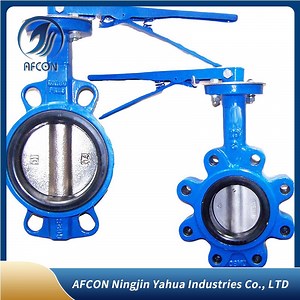 [Hot Item] Stainless Steel Dual Plate Lug Wafer Flap Butterfly Check Valve