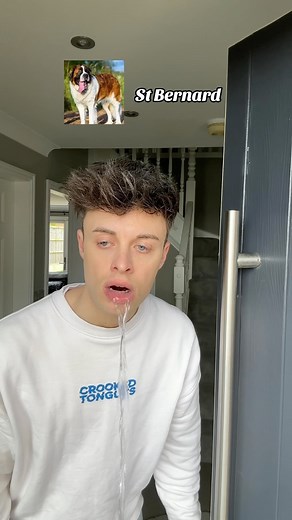 Joe Tasker | If dogs were human…again 😐 #ifdogswerehuman #reels #dogsofinstagram #comedy | Instagram