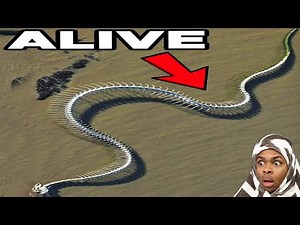 Weird Things I Wish I NEVER Spotted on Google Maps