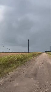 22K views · 43 reactions | Live from the scout truck in Tynan. We have been playing tag with these rain showers, lots of birds then a shower shuts them down however we are doing our best to put clients on birds. Thousands of acres of property and lots of fuel, we will find them! | South Texas Hunting Outfitters | Facebook