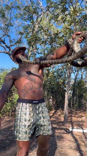 Mike Holston | Best caption wins 🐍 Beast carpet python from this morning found in the chicken coupe 🐓🐓 | Instagram
