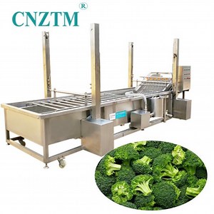 [Hot Item] Automatic Cucumber Washing Machine and Vegetable Bubble Cleaning Equipment