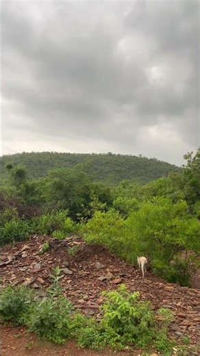 Civil Site Visit | Civil Engineering #civilengineering #civilsitevisit