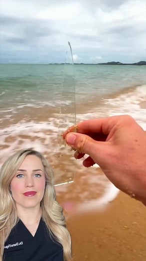 Beach Safety: Doctor Reacts to Potential Dangers