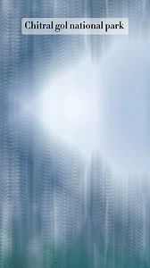 2.9K views · 19 reactions | Chitral Gol National Park #wildlife #markhor #isi #chitral #national #park #science #classof2024 #mdcat #biologytutoring #lifestyle #MCQs #tutoring #wild #education #zoology #studytips #MCQsTest #pakistan #StudyTips #scientist #wildlife #entomology #ornithology #socallife #bio #biology #skeletal #skeletalsystem #move #movement #support #supportlocal #vertibralcolumn | AR Biologist | Facebook